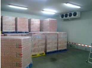 91免费黄片观看设备