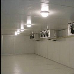 如何保养好冷冻库？