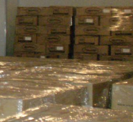 91免费黄片观看设备1