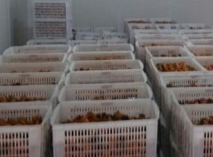 保鲜库和冷冻库的区别。