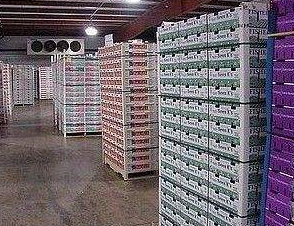 91免费黄片观看设备3