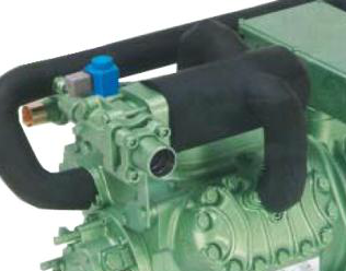 安徽91免费网站在线观看气调库的库体是什么样子的？