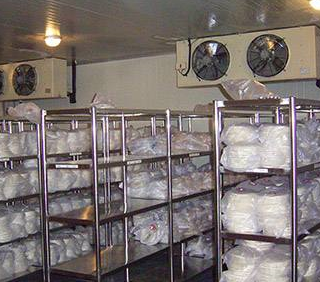 海鲜冷库常见的几大分类。