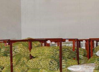 91免费黄片观看厂家直销