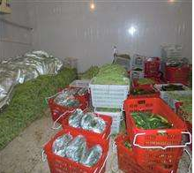 91免费黄片观看安装