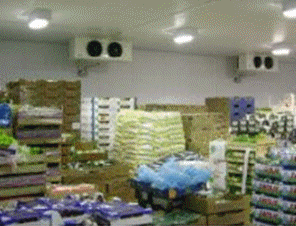 91免费黄片观看设备