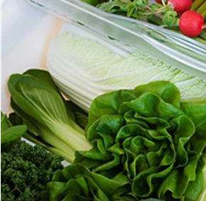 91免费黄片观看安装