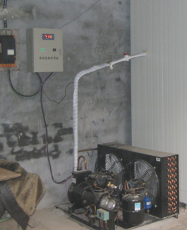 安徽91免费网站在线观看制冷设备有限公司