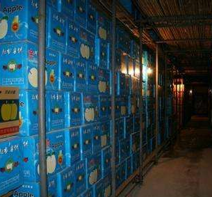 91免费黄片观看厂家的气调库图片