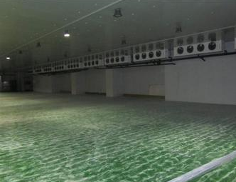 91免费黄片观看厂家直销