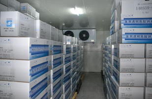 91免费黄片观看设备