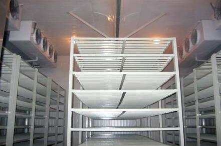 91免费黄片观看维修