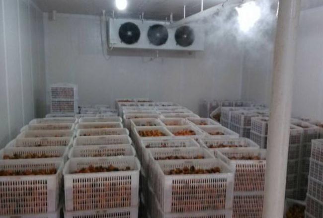 跟着安徽91免费网站在线观看一起来了解下影响冷库设备制冷效果的几个因素吧！