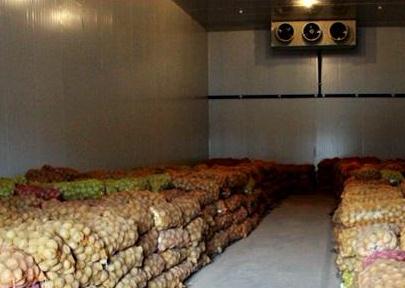 冷库中的蔬菜/水果出现冻伤情况，是怎么回事呢？