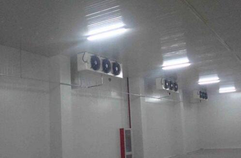 安徽91免费网站在线观看冷库知识大盘点：自动化大型仓储冷库安装与维修的必要点！