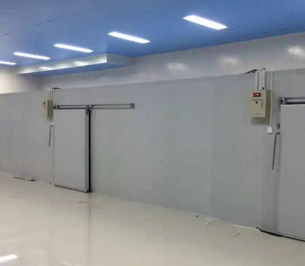 鲜花保鲜冷库如何配置效果更好？请看安徽91免费网站在线观看冷库厂家的介绍