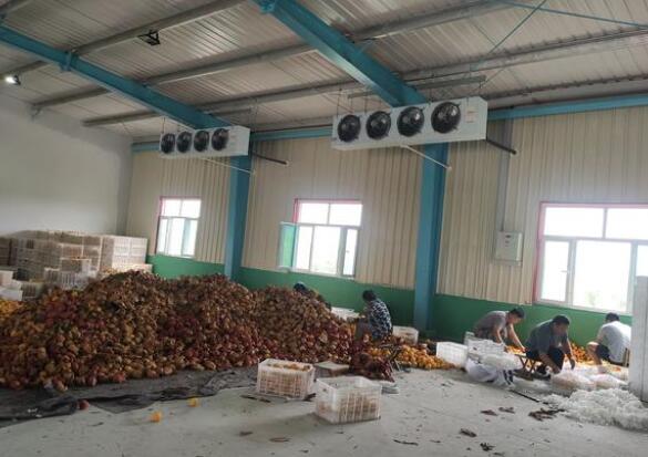 保鲜冷库有什么特点！请看安徽91免费网站在线观看冷库厂家的介绍！